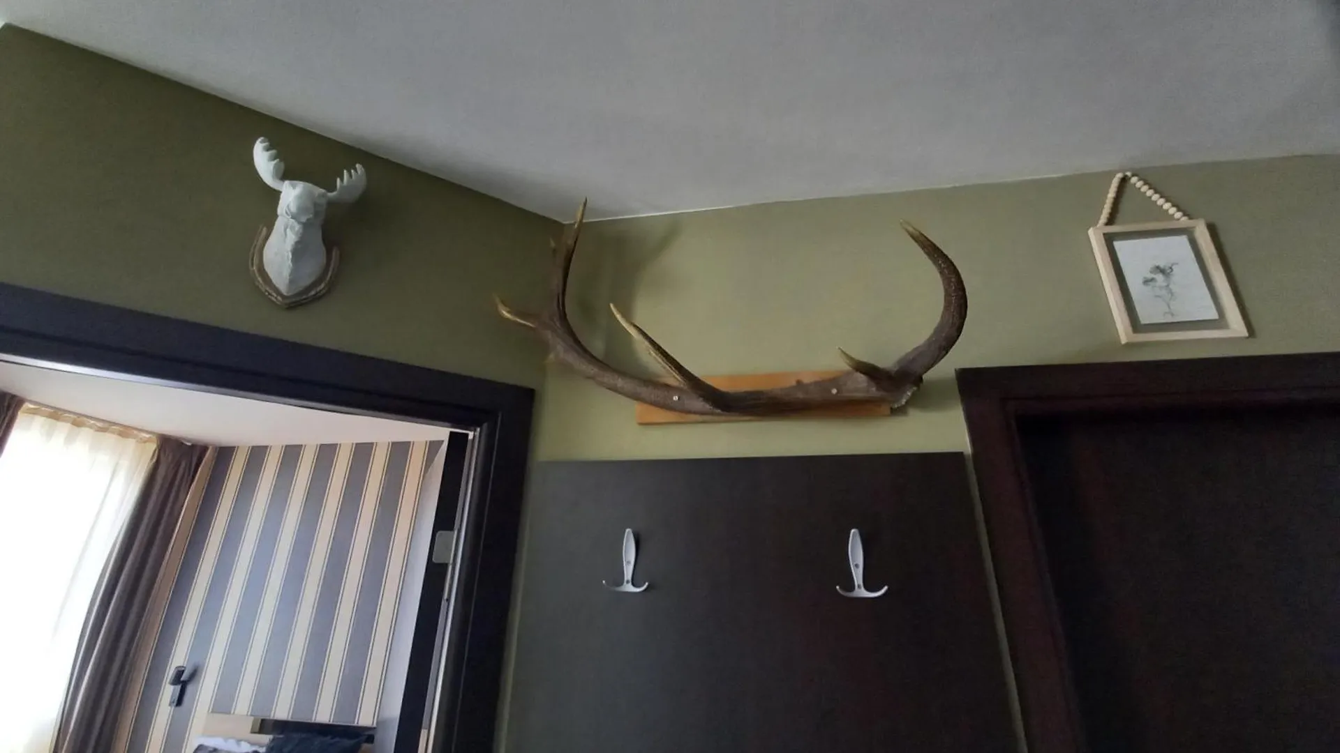 Top Top Location Green Apartment Bansko