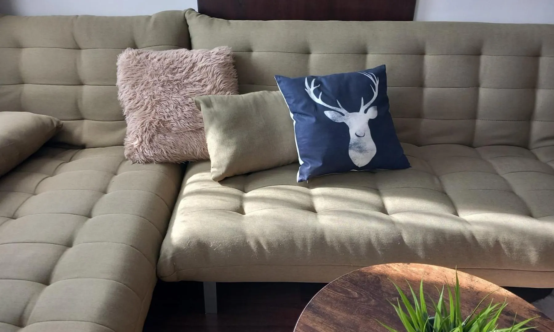 Top Top Location Green Apartment Bansko Bulgaria